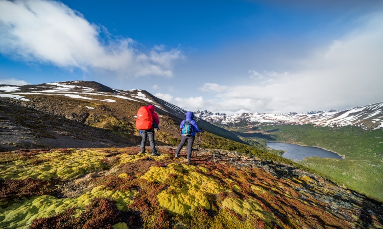 Puerto Williams: Dientes de Navarino Trek 